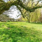 Thumbnail of http://Bepton